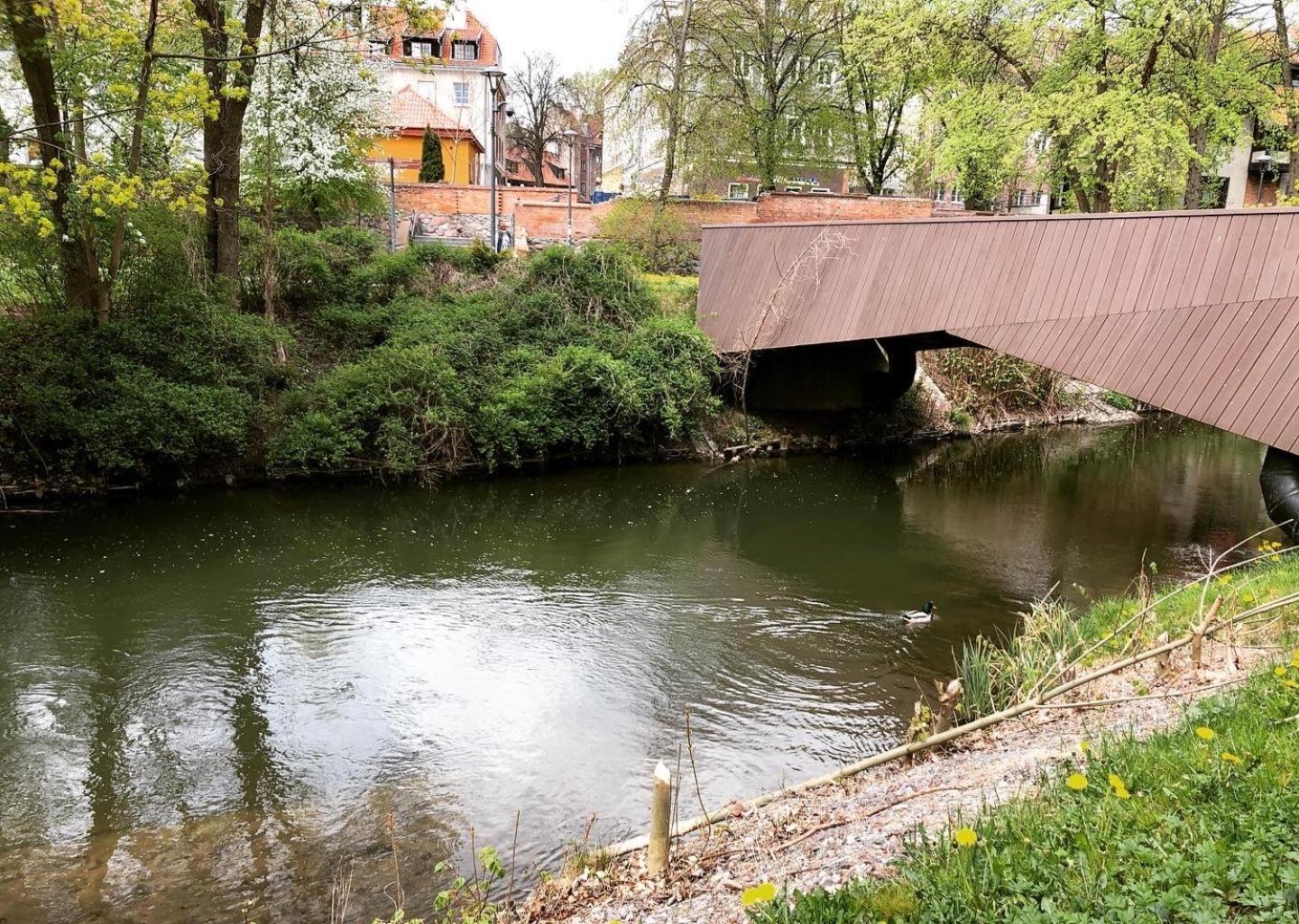 Apartament Parkowy By Rent4You Olsztyn  Eksteriør bilde
